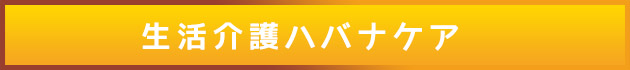 ハバナケアの生活介護サービスとは