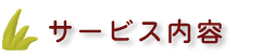 児童デイのサービス内容と放課後ケアのサービス内容